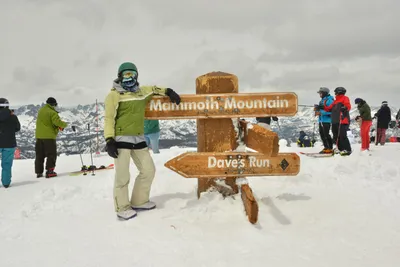 DSC_6685 (Large).JPG